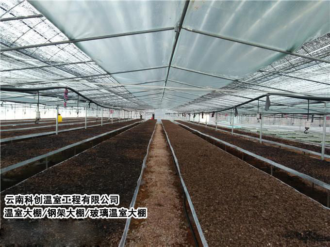 云南科創溫室工程有限公司提供溫室大棚、溫室大棚設計、農業溫室大棚